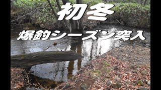 無敵のニンフフライで冬の爆釣を狙う！