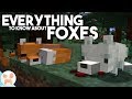 EVERYTHING to know about FOXES!