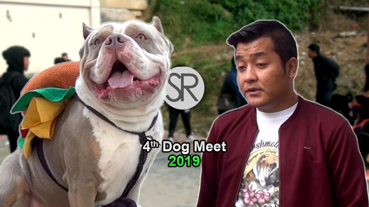SR : 4th Dog Meet | [31.12.2019]