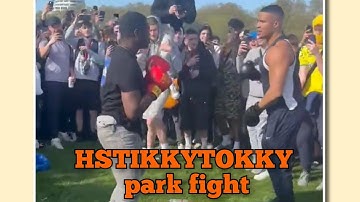 HSTIKKYTOKKY fighting in a park