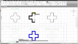 Celebrity Module 4 - Polylines Net Worth
