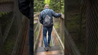 Mastering second half of adventure station 3 on Black Forest treetop trail in Bad Wildbad #shorts