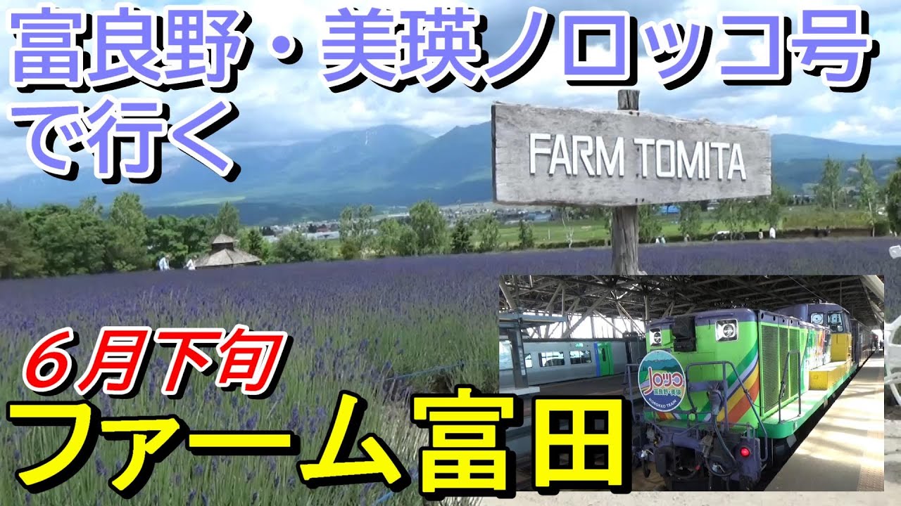【絶景】富良野・美瑛ノロッコ号で行く！６月下旬のファーム富田＜旭川→ラベンダー畑→富良野＞