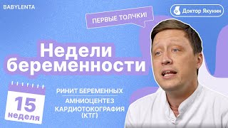 15 неделя беременности - как выглядит ребенок, УЗИ, что происходит с малышом и мамой, ощущения