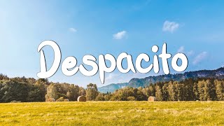 Despacito - Luis Fonsi (Lyrics)  Sia ,Unstoppable, David Guetta (MixLyrics)