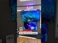 Lg best Qled tv models 2026 // best 4K and 8k smart tv // best gaming tv