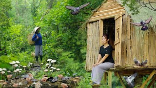 How about Watch How I Transform An Abandoned House Into A Amazing Pigeon Coop | BeiFang GuNiang