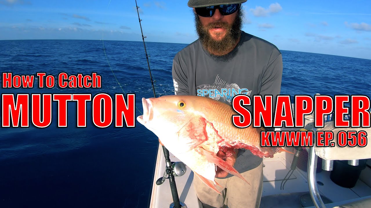 How To Catch Mutton Snapper  Key West Waterman Ep. 056