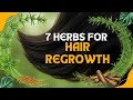 Science + Ayurveda: 7 Herbs for Hair Regrowth #NaturesWisdomTV #NaturalBeauty
