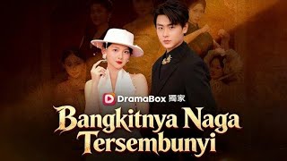 Bangkitnya Naga Tersembunyi - Drama Cina