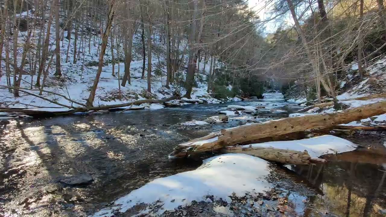 Winter Forest Creek for calm and relaxing sounds
