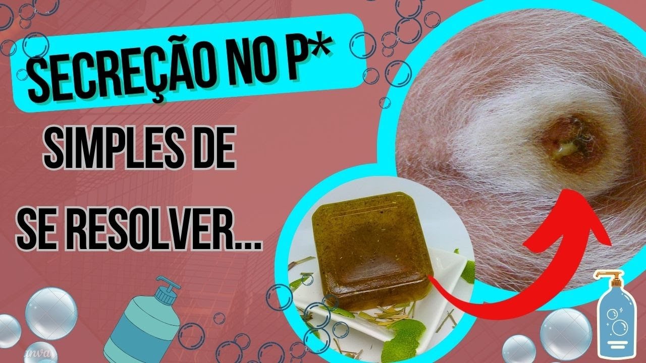 CACHORRO COM SECREÇÃO NAS PARTES INTIMAS SAINDO UM LIQUIDO AMARELO OU ...