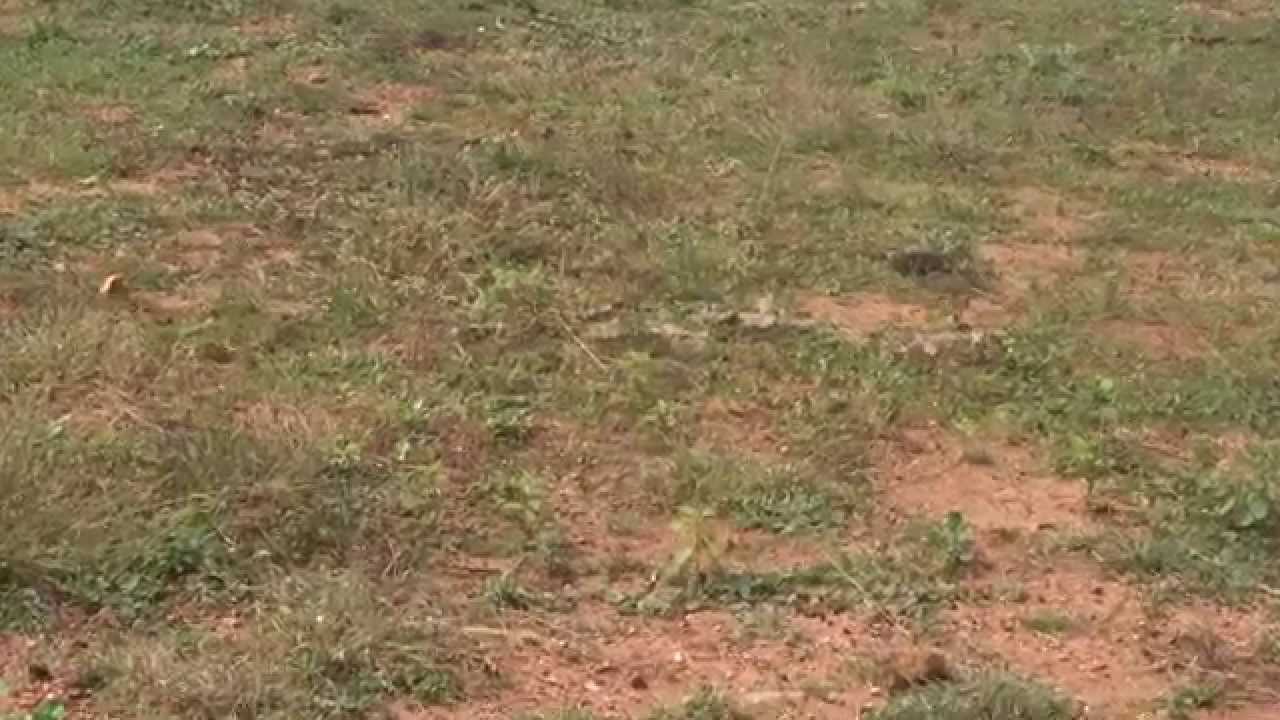 600sqft Land For Sale 3L in Hesaraghatta Main Road, Bangalore Refind