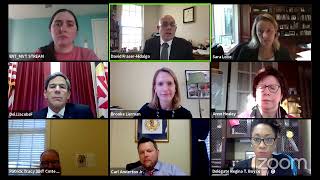 MVT Committee Session, 1/14/2021 #1
