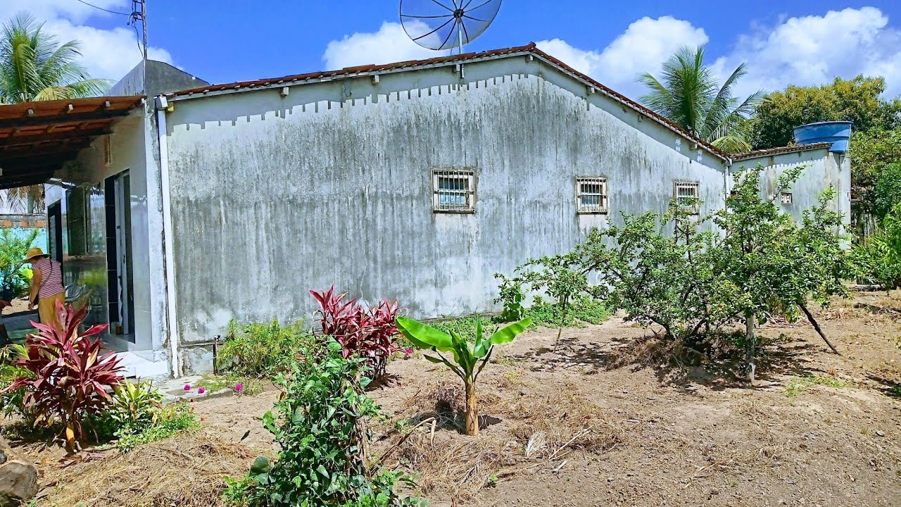 CUSTO DE VIDA BARATO E CHÁCARA PRA VENDER EM ALTO BONITO PERNAMBUCO