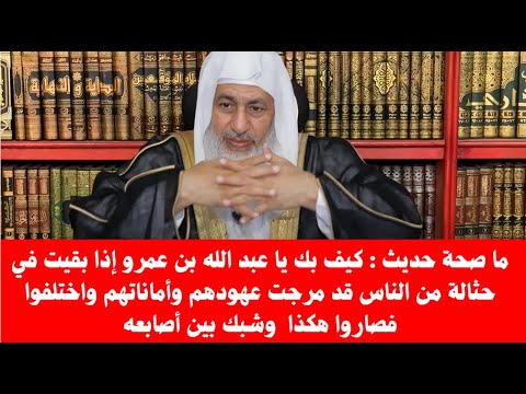 ما صحة حديث كيف بك يا عبد الله بن عمرو إذا بقيت في حثالة من الناس قد مرجت عهودهم وأماناتهم واختلفوا