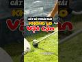 Cắt cỏ không lo vật cản| Máy cắt cỏ chạy pin greenworks40V #greenworks #lawnmower #maycatcopin