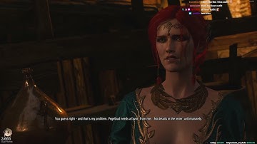 The Witcher 3: Wild Hunt First Playthrough | Part 7