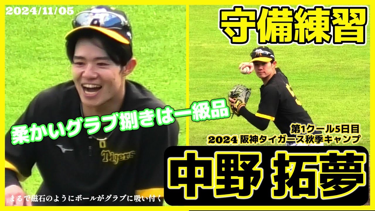 阪神タイガース5点セット 京セラドーム大阪甲子園球場年間シート購入者限定 非売品 2025年最新】年間シート 京セラドームの人気アイテム - メルカリ
