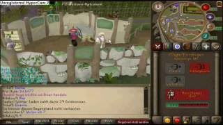 runescape arrow glitch