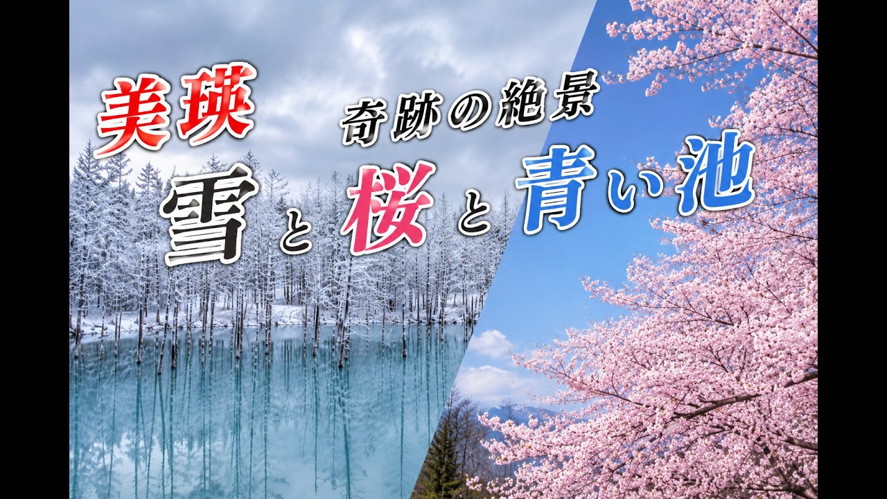 【緊急】奇跡の共演!!雪と桜と青い池 美瑛の5月のありえない素敵な景観 4K「北海道 美瑛」