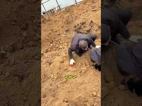 صديقهم كان نائم ا داخل السيارة المدفونة