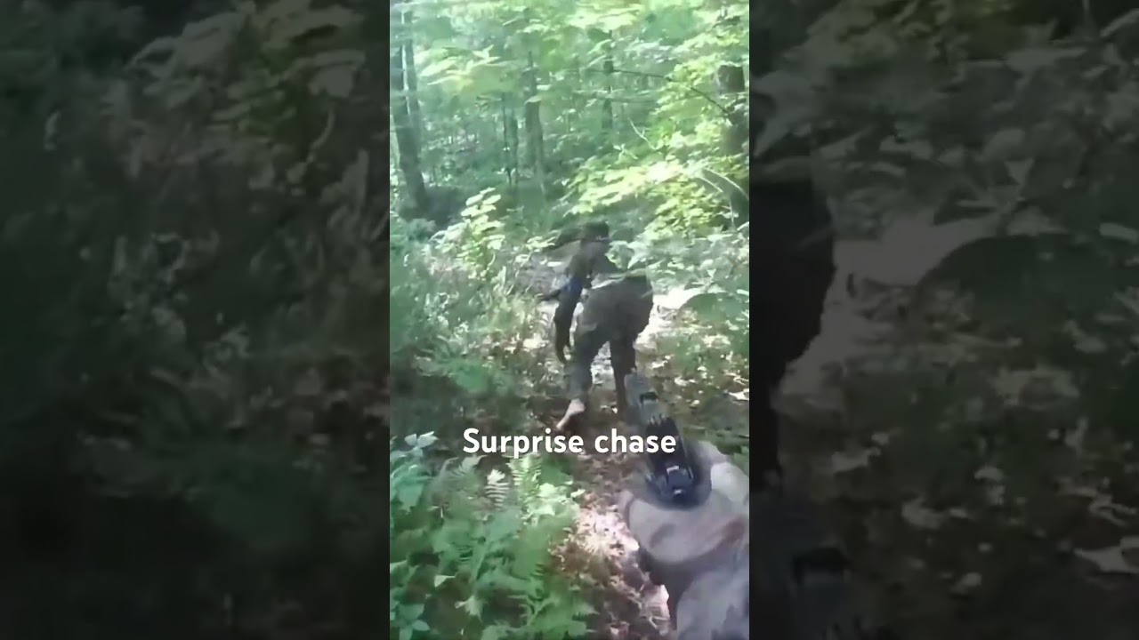 Surprise chase 