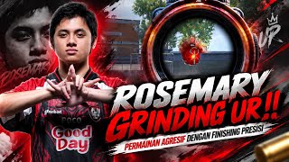 Rosemary's Gameplay at UR‼️Calm in Reading the Situation, Quick on the Attack 🥶😱 #pubgmobile