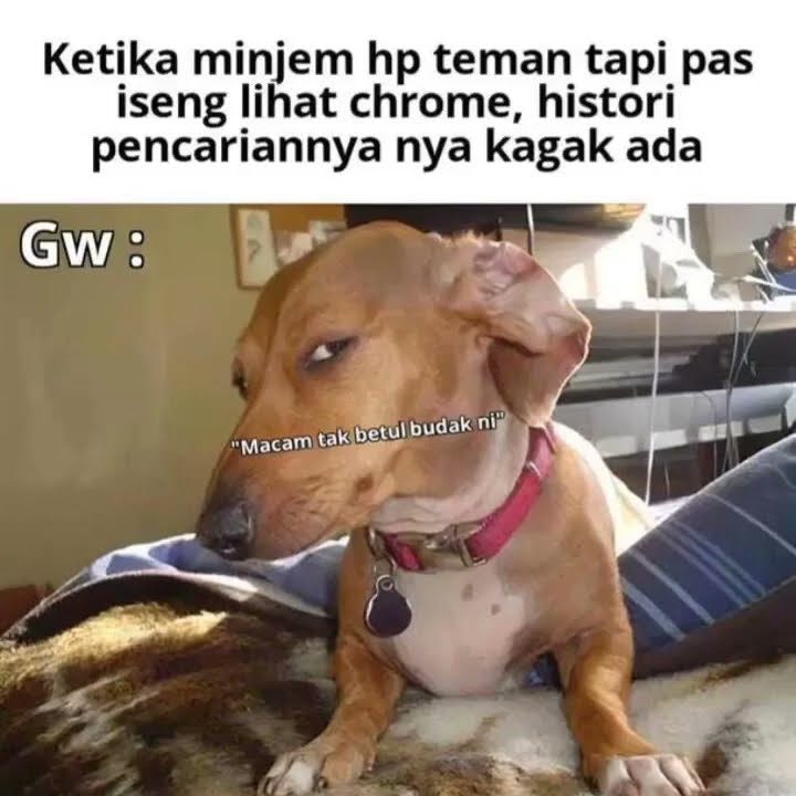 CELLA VIRAL SMP https://justpaste.it/ilzf4