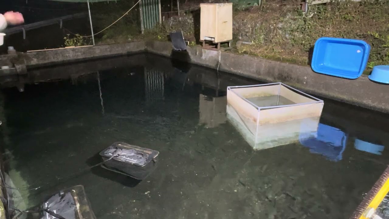 20251219飼育管理