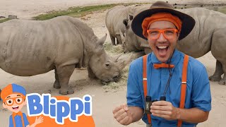 blippi explores a safari park learn about animals for kids educational videos for toddlers