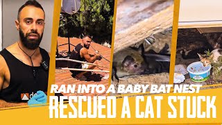 Rescued a cat stuck on a rooftop for 7 days, ran into a Baby Bat nest and adopted a rooftop patient. by dev naz Animal Rescue 1,316 views 9 months ago 23 minutes