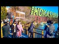 【4K】Japan Walk - Tokyo ,Mitaka 三鷹市,Inokashira ,井の頭恩賜公園  February 2021,#Japan #Tokyo #井の頭恩賜公園