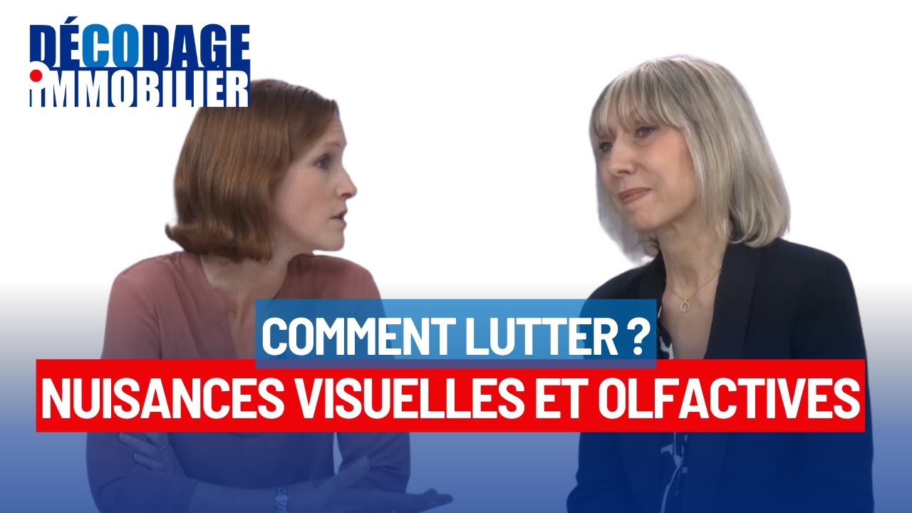 LUTTER CONTRE LES POLLUTIONS VISUELLES ET LES NUISANCES OLFACTIVES ...