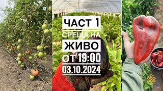 :  1 - 35       2024.        