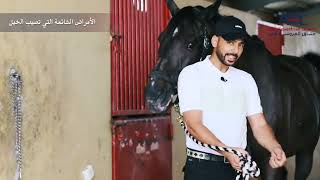 الأمراض الشائعة التي تصيب الخيل (المغص ، الإنتفاخ ، حصر البول ..... الخ)