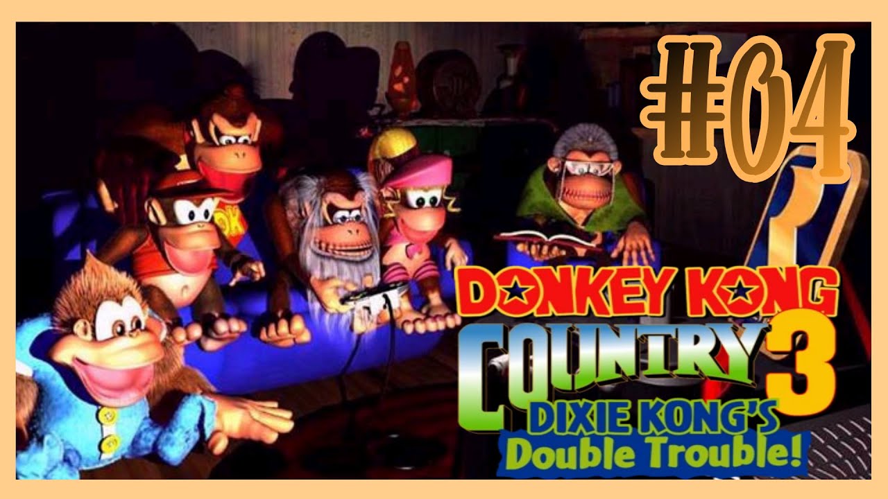 donkey kong 3 cheats