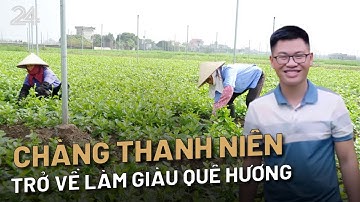 Chàng thanh niên làm giàu quê hương từ tình yêu nông sản sạch | VTV24
