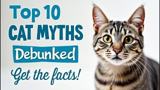 🐱 Top 10 Cat Misconceptions DEBUNKED! 🐾