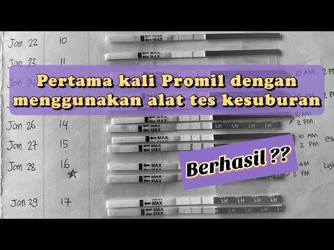 [UPDATE] Lanjutan promil pertama kali menggunakan alat tes kesuburan | ovulation test TTC