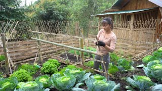 Technique Build Pig House With Concrete Floor And Bamboo, Raise Pigs | New Free Bushcraft