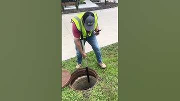 Day In The Life: Environmental Scientist