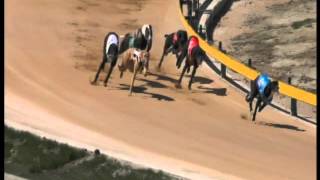 Goulburn-06102015-Race-4