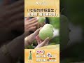 你丟掉的垃圾其實都是寶貝！北極熊有希望了🤩#生活愛美麗 #八弟 #卡肉 #廢品再生