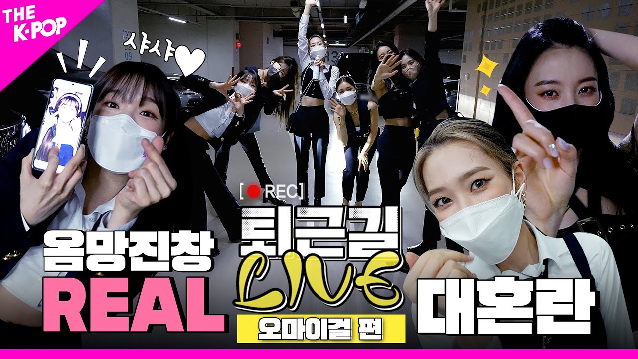 [퇴근길  LIVE 4K] ❛Real Love❜ 넘치는 옴망진창! Real 퇴근길 현장=͟͟͞͞ ͟͟͞͞ ♥