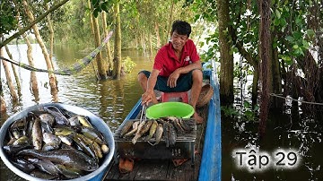 cuộc sống " Săn B.ắt Mùa Nước Nổi " năm 2025 - Tập 29 | Gấc Quê