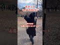 緊急告知!4/18(土)井の頭公園アートマーケッツ開催します!#あさみちゆき #井の頭公園#アートマーケッツ#ライブ #それからの黄昏シネマ