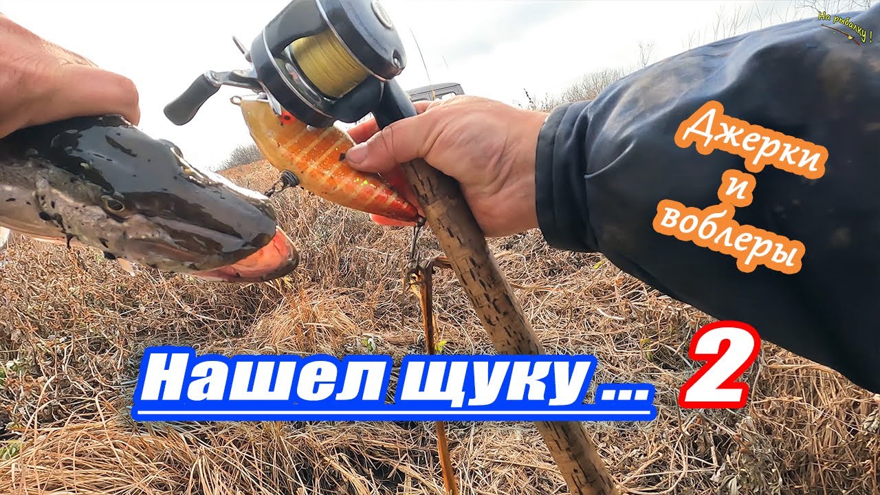 Нашел щуку 2 ...