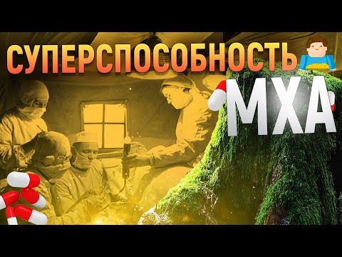 Неочевидные суперспособности МХОВ | Plushkin