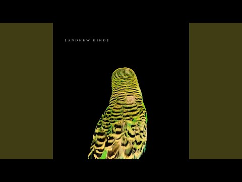 Darkmatter - Andrew Bird